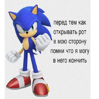 Sticker from Соник топ не согласен=согласен