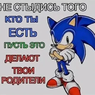 Sticker from Соник топ не согласен=согласен