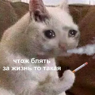 🙁 emoji Больше стиков тут: @stikery4 Telegram sticker 11 of 120