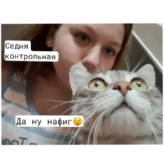 🐱 emoji Эпсэса-поэтэса Telegram sticker 3 of 9