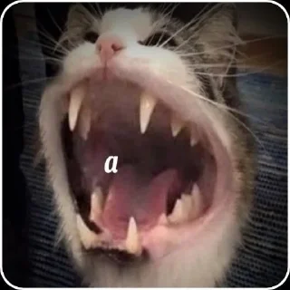 🌟 emoji shalupon Telegram sticker 5 of 80