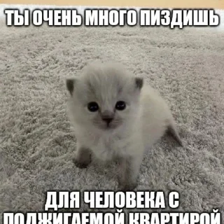 😏 emoji писька в вишне @riiizzeq Telegram sticker 22 of 36
