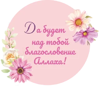 🌸 emoji НЕШКОЛА @neshkola_zhumaliyevih Telegram sticker 18 of 113