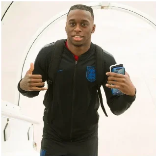🤙 emoji Wan-Bissaka Telegram sticker 24 of 30