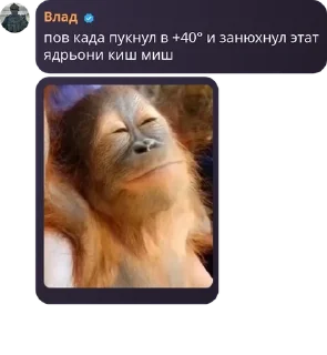 🈷️ emoji Ягадни чат 🍂🧡 pack by @QuotLyBot Telegram sticker 12 of 119