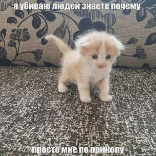 😜 emoji Кицьки ➡️ @Ctikerubot Telegram sticker 11 of 62