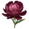 🤩 emoji Бургунди эмоджи
tg: @IconIllusions Telegram sticker 22 of 117