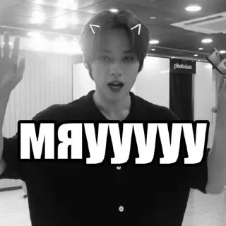 🥵 emoji минхо ееее @leeknowgodman by @offstikbot Telegram sticker 9 of 31