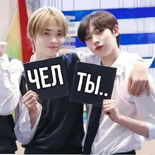 🤍 emoji :::смешные стикеры с энхайпен Telegram sticker 8 of 15