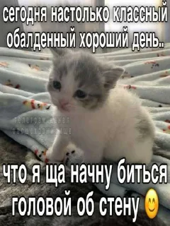 😘 emoji гагага ➡️ @Ctikerubot Telegram sticker 2 of 75