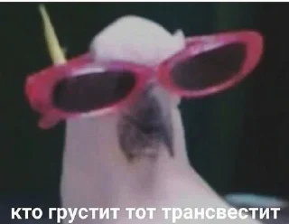 😎 emoji БРЕДовый набор Telegram sticker 3 of 118