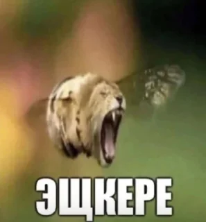 🤟 emoji Торпедальная жопа @sozdat_stikery_bot Telegram sticker 16 of 120