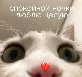 🥺 emoji Больше стикеров тут: @stickers_memy Telegram sticker 15 of 50