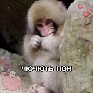 🌟 emoji Больше стикеров 👉🏻 @stickertg4 Telegram sticker 22 of 50