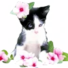 🐱 emoji больше котиков: @catcotcats Telegram sticker 10 of 34
