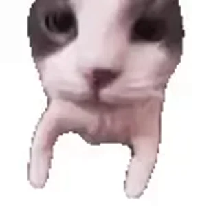 🌟 emoji Больше стикеров 👉🏻 @stickertg4 Telegram sticker 19 of 50