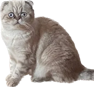 Sticker from Мелисса