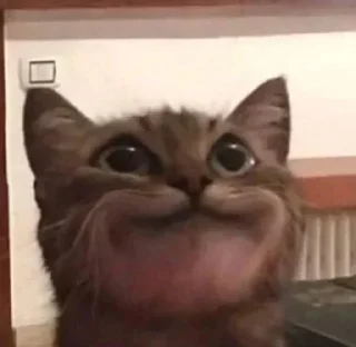 🤪 emoji Больше стикеров 👉🏻 @stickertg4 Telegram sticker 24 of 120