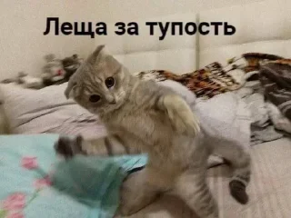 😺 emoji Больше стикеров 👉🏻 @stickertg4 Telegram sticker 14 of 120