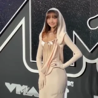 Sticker from @lalals7 VMAs 2024