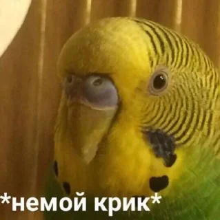 ‼️ emoji мои хорошие Telegram sticker 3 of 79