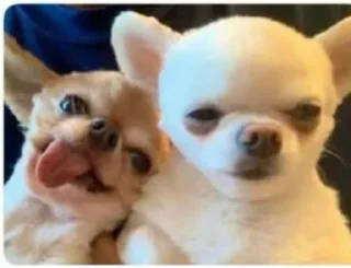 😋 emoji мои хорошие Telegram sticker 5 of 79