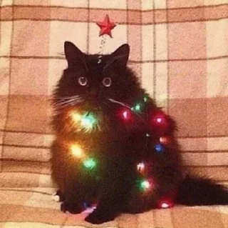 🎄 emoji Больше стиков тут: @stikery4 Telegram sticker 11 of 120