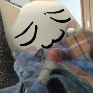 🐱 emoji Больше стиков тут: @stikery4 Telegram sticker 24 of 100