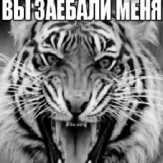 😔 emoji пранки от миоши ➡️ @Ctikerubot Telegram sticker 11 of 38