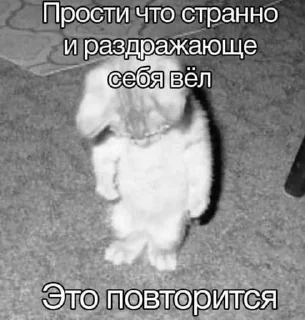 😏 emoji пранки от миоши ➡️ @Ctikerubot Telegram sticker 17 of 38