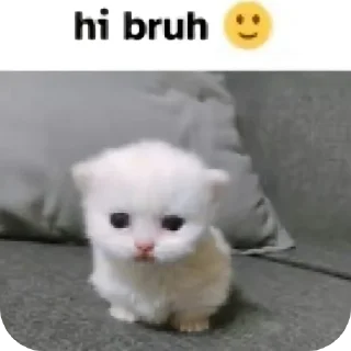 ❤ emoji катя сигма Telegram sticker 23 of 28