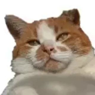 😎 emoji Больше стикеров 👉🏻 @stickertg4 Telegram sticker 7 of 35