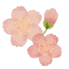 💐 emoji ꒰  ྀི◞ ◟ ꒱  @mewsticks  ܀ ⊹ ˚ Telegram sticker 15 of 40