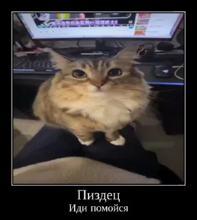 😳 emoji Сво мобилизация 2 @floppa_5555 Telegram sticker 23 of 69