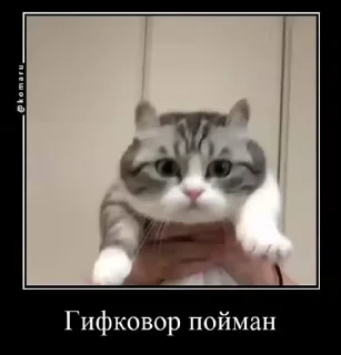 😱 emoji Сво мобилизация 2 @floppa_5555 Telegram sticker 20 of 69
