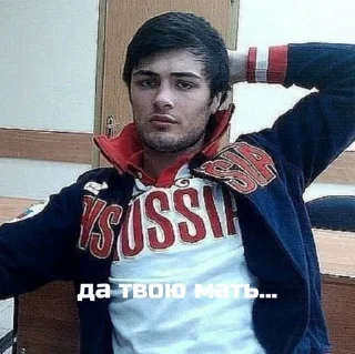 👊 emoji попался хачеглядный Telegram sticker 11 of 12