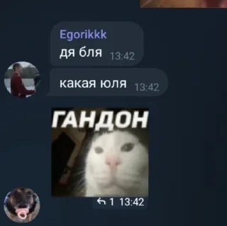 Sticker from не фонк