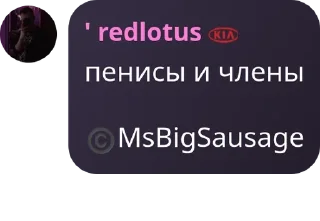 Sticker from карман пигсоула pack by @QuotLyBot