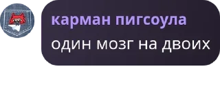Sticker from карман пигсоула pack by @QuotLyBot