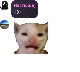 🦆 emoji Гача школа Teem(обсуждение) pack by @QuotLyBot Telegram sticker 8 of 91