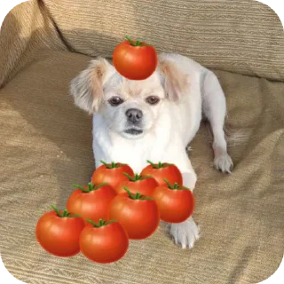 👍 emoji tasha (не спит) Telegram sticker 6 of 26