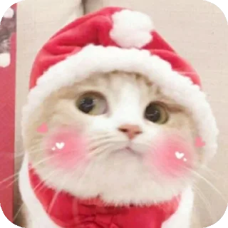 👍 emoji Жьжь Telegram sticker 7 of 10