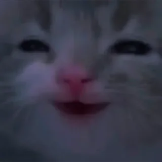 🤨 emoji Рабство 2.0 Telegram sticker 13 of 66