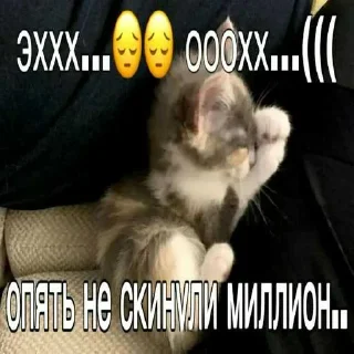 😭 emoji Уро котеки ➡️ @Ctikerubot Telegram sticker 11 of 41