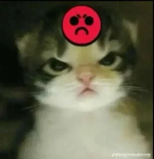 Sticker from Уро котеки ➡️ @Ctikerubot