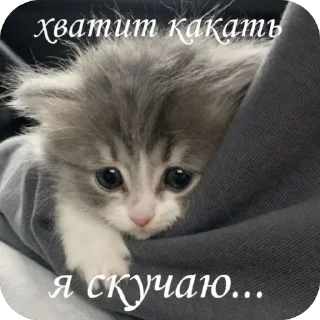 🫥 emoji Уро котеки ➡️ @Ctikerubot Telegram sticker 20 of 41