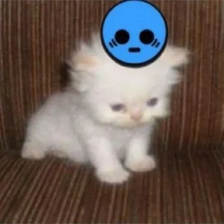 🥹 emoji котеки😸 ➡️ @Ctikerubot Telegram sticker 10 of 24