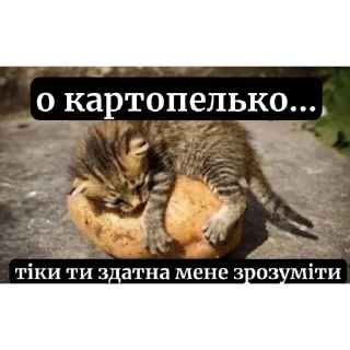 😢 emoji мем зкинула Telegram sticker 8 of 55