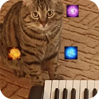 🐱 emoji @slarkkt Telegram sticker 2 of 53