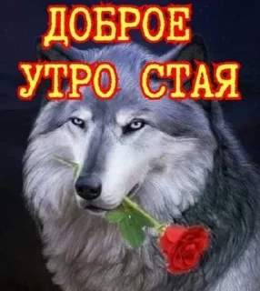 🌞 emoji Больше стикеров 👉🏻 @stickertg4 Telegram sticker 19 of 29